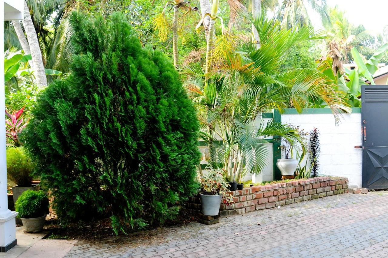 Myr-O Homestay Kombichankulama Zewnętrze zdjęcie