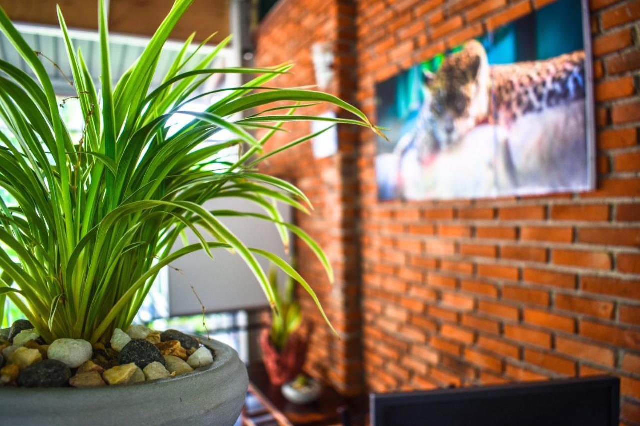 Myr-O Homestay Kombichankulama Zewnętrze zdjęcie